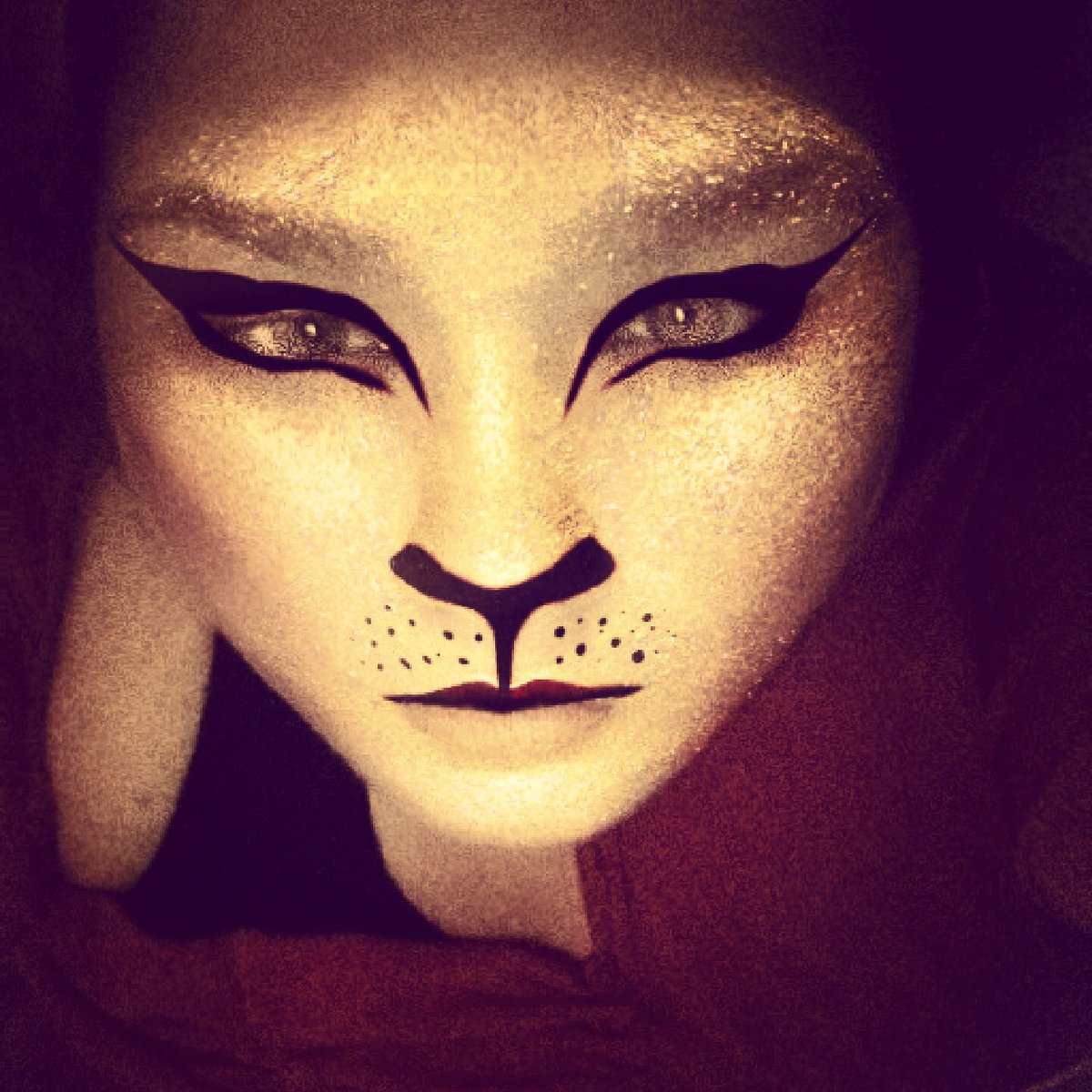 Remember you are a warrior #lioness #warrior #lipedema #princess #snap chat #followme