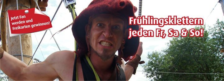 TreeRock (@treerocksolling) on Twitter photo 