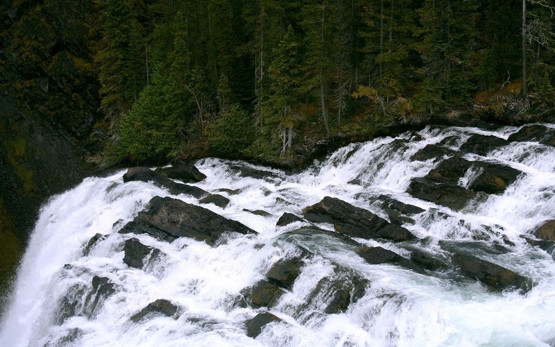 WallpapersOnWeb's tweet photo. Big waterfall in the forest https://t.co/ee4XFWHURk #desktop #wallpaper #nature #rock #tree #forest https://t.co/nwIEcXSqxW