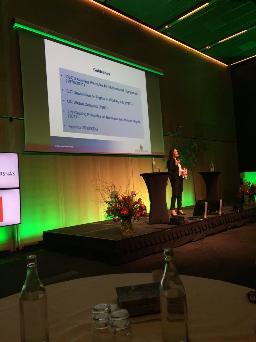 Diana Madinic talar om regerings förväntningar på företagen på DI hållbarhet.