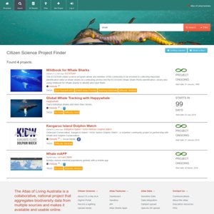 Remember The Wild tweet media