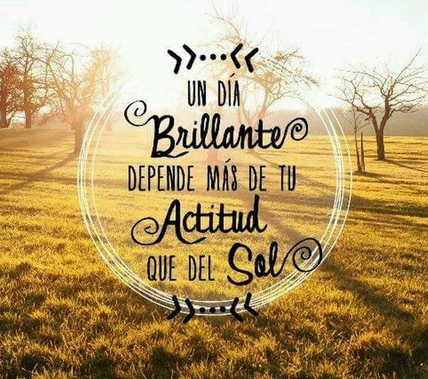 ePsycoweb's tweet photo. Un día brillante depende más de tu actitud que del sol. ¿Cómo va a ser tu día? #FelizLunes #Mecomoloslunes https://t.co/R4ZK7iWb6s