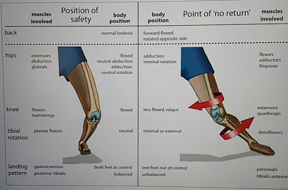 Image result for mechanism of ACL injury