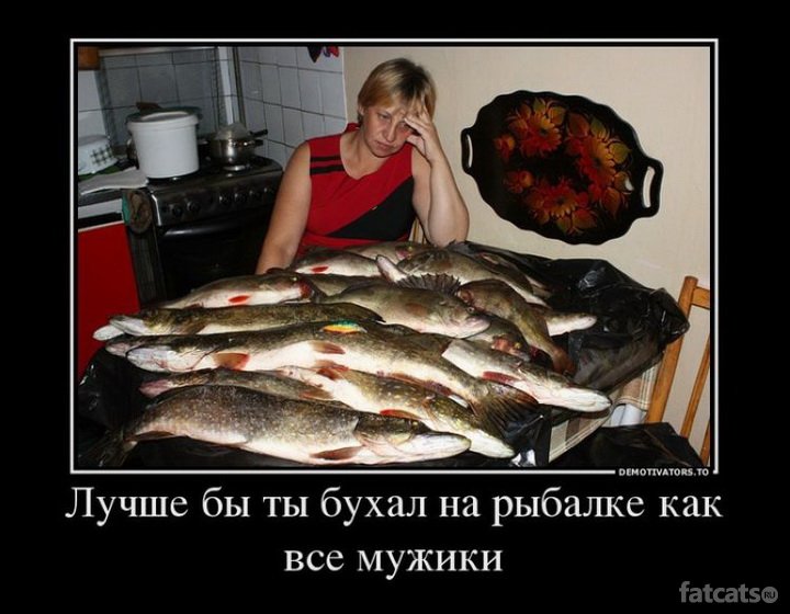 Pro_torg tweet picture