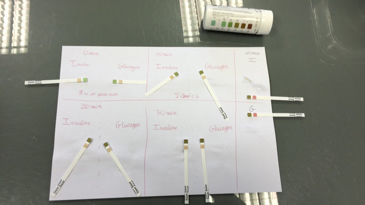 Clndorian's tweet photo. Ensemble globale ; tableau récapitulatif #insuglucadorian https://t.co/HrFT5yL4aF