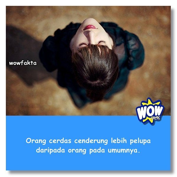 KONTEN WOW! tweet media