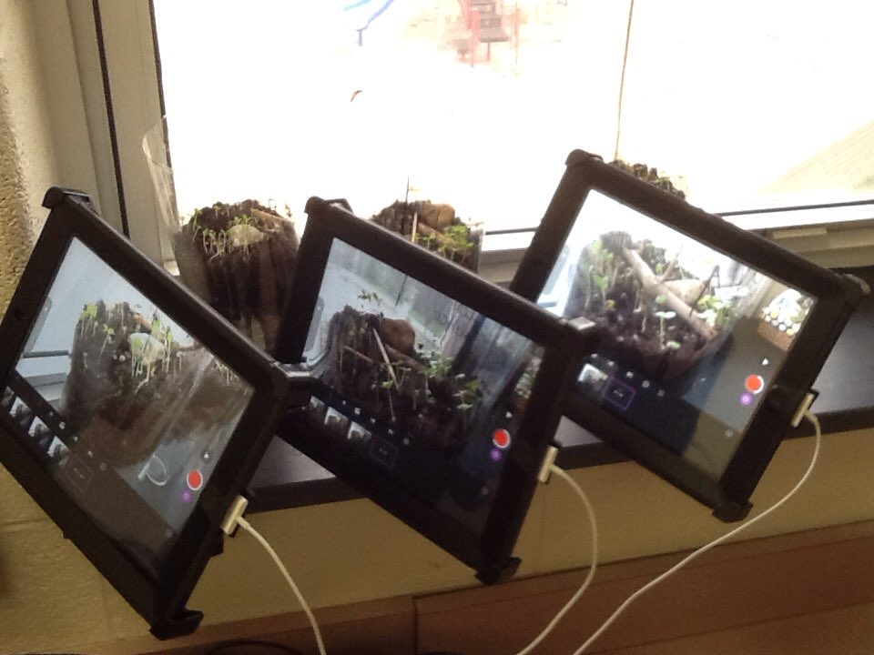 Now we are using stop motion animation to view our plant growth! We captured so much over the weekend!