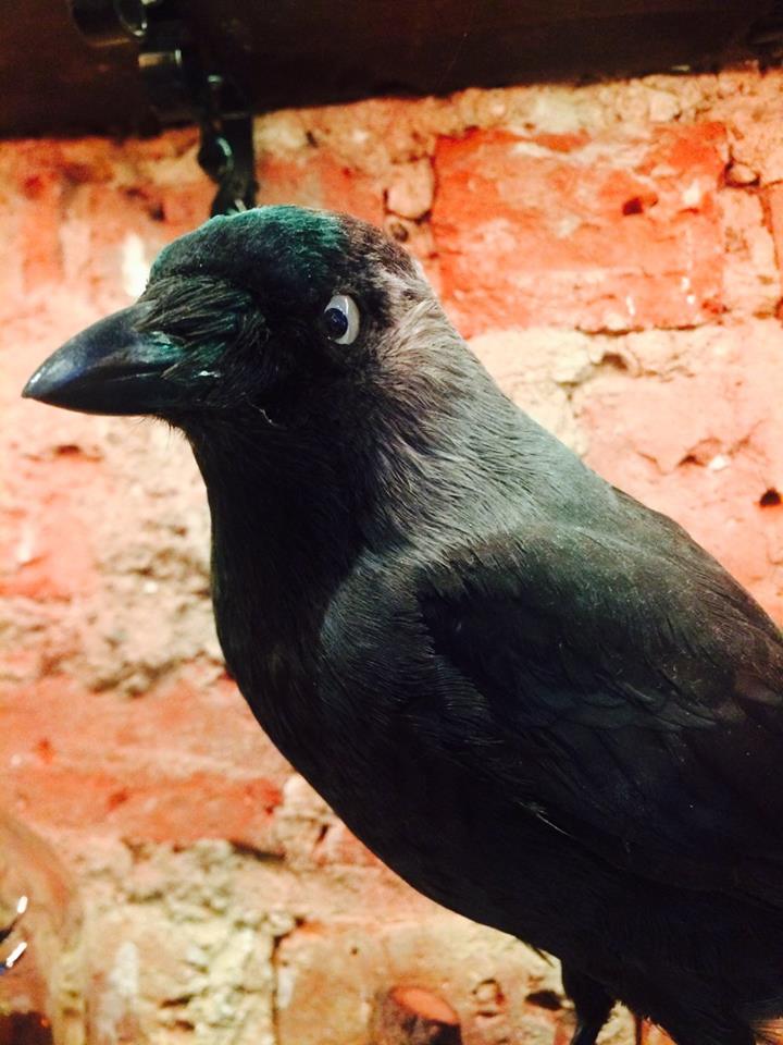 For updates #like #subscribe #follow us on FB goo.gl/tGEzcn  <a href="/LDN/">Radar London (previously Handpicked)</a> <a href="/Secret_LDN/">Secret London</a> <a href="/LostEvent_LDN/">Lost Event (London)</a> #Clapton #E5