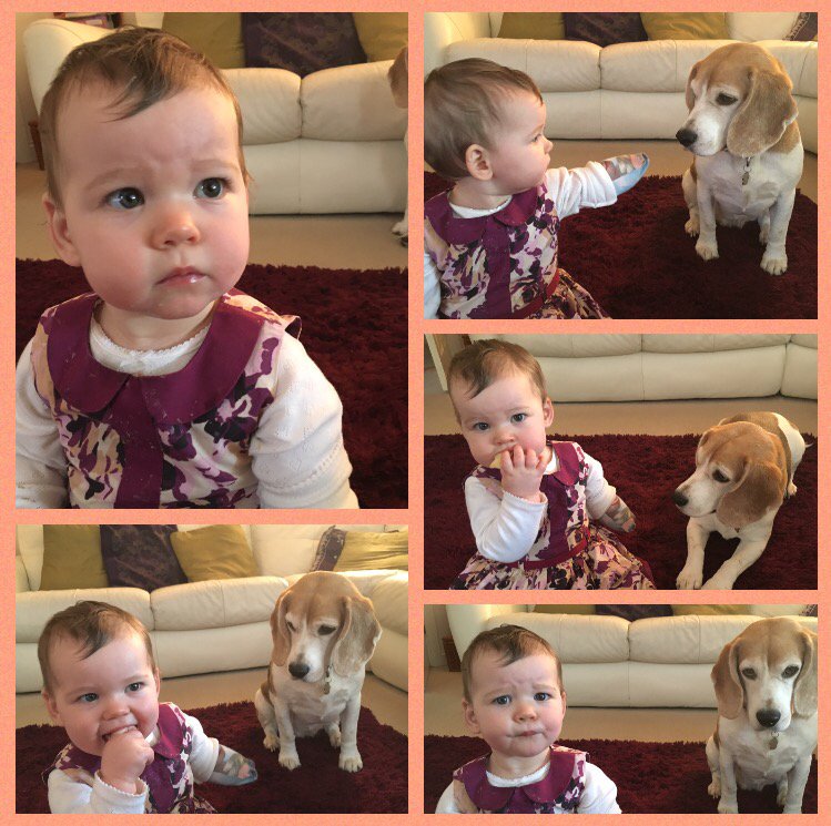 Do you ever feel like someone's watching you eat???