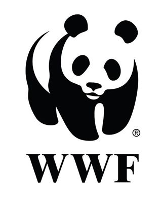 WWF - partner of this year's festival Taste the Mediterranean!#Fishforward #WWF #Sibenik #OkusiMediteran