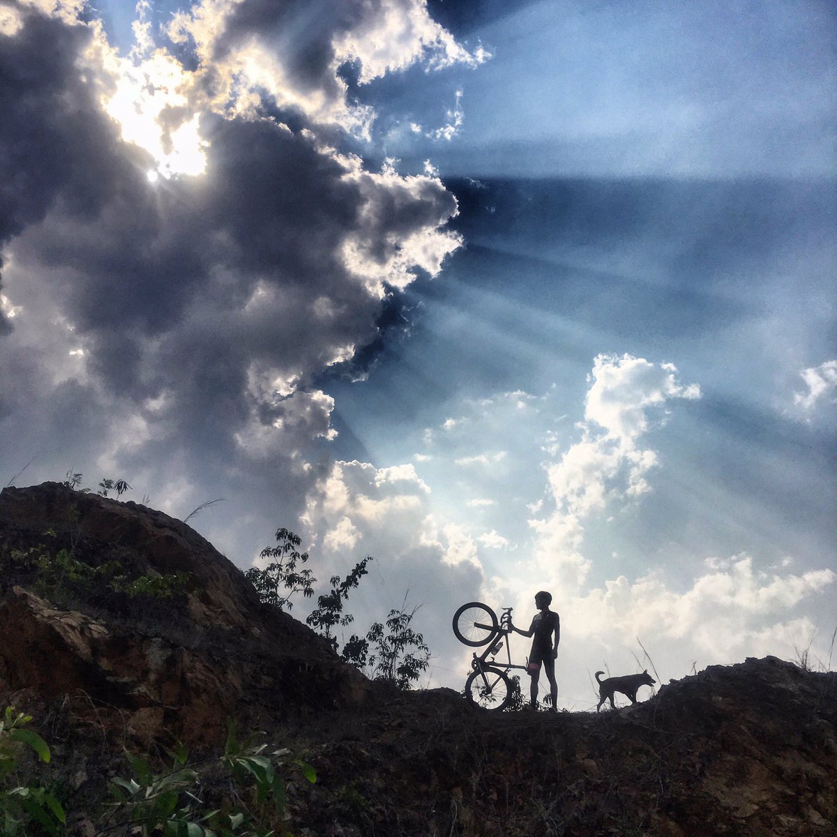 uglypink's tweet photo. ไปไหนไปด้วย 🐶
#NolifeLikeThisLife #fromwhereiride #JustRideTH
https://t.co/Sp5VxO8TP8 https://t.co/El5cOoUmus