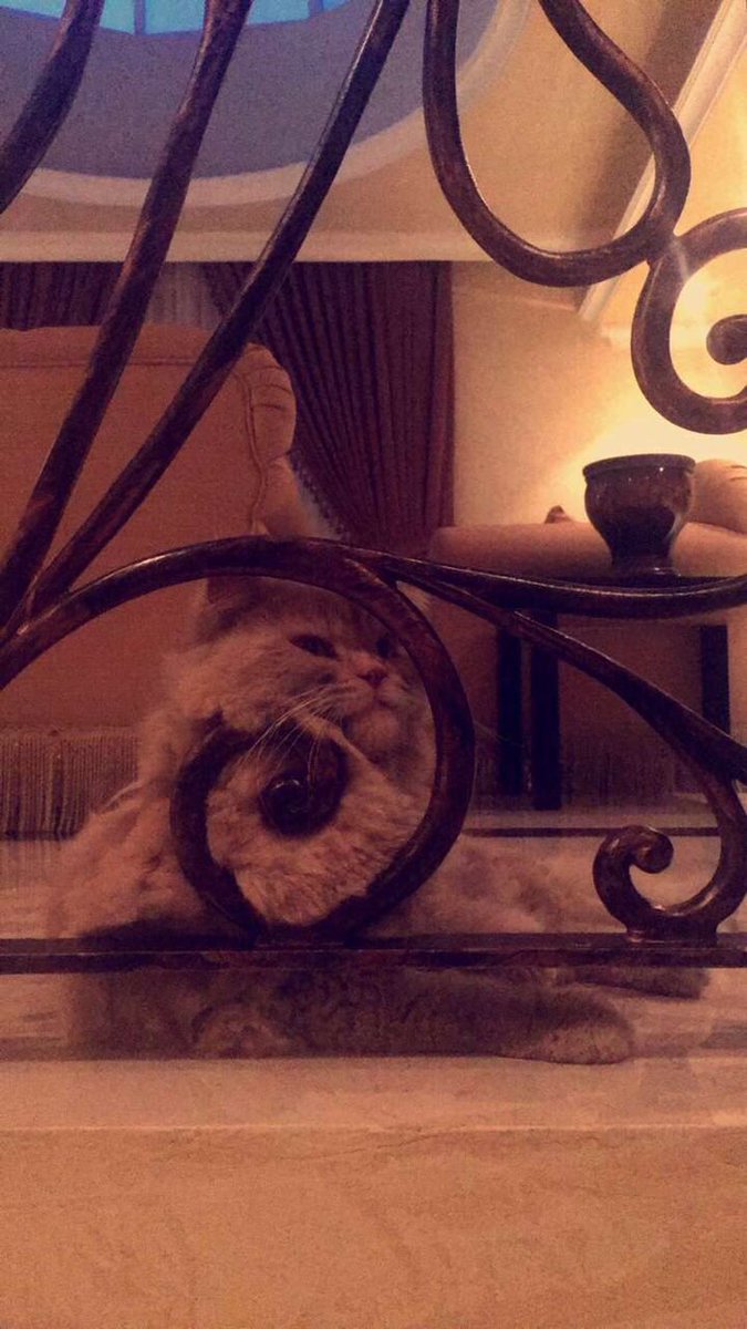 iiiSimba's tweet image. i am so beautiful