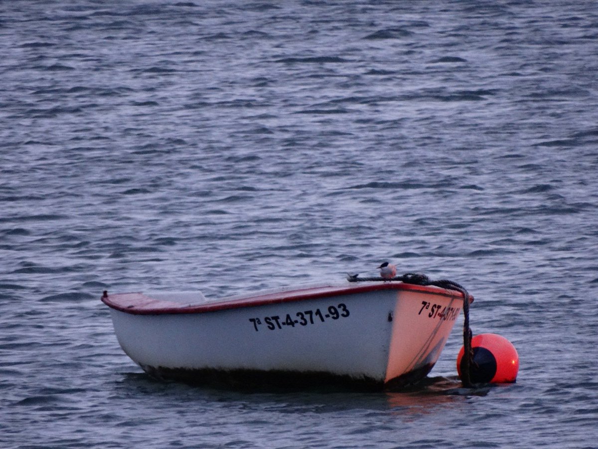 Nacho Fdez tweet media