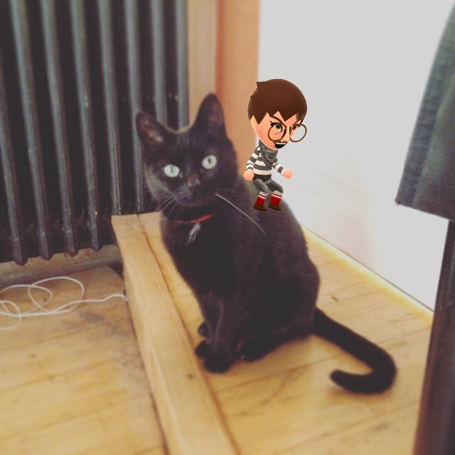 poteto_dono's tweet photo. Mii and my giant saber-tooth tiger pet https://t.co/RoHDsMzZBS
