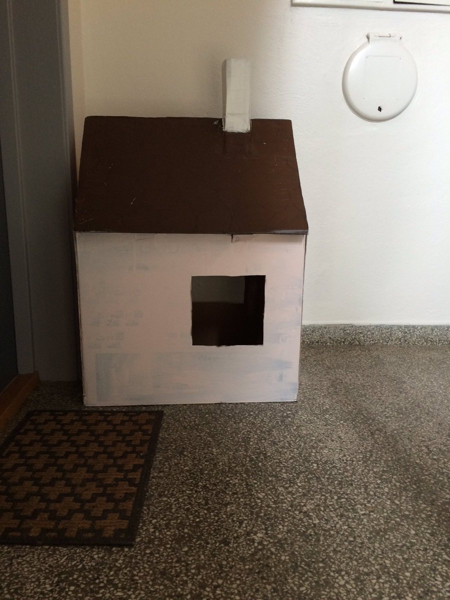 kinesvori's tweet photo. Når du kjem heim frå #nmulm og finn eit lite hus i oppgangen din. https://t.co/kSoV3Fw96E