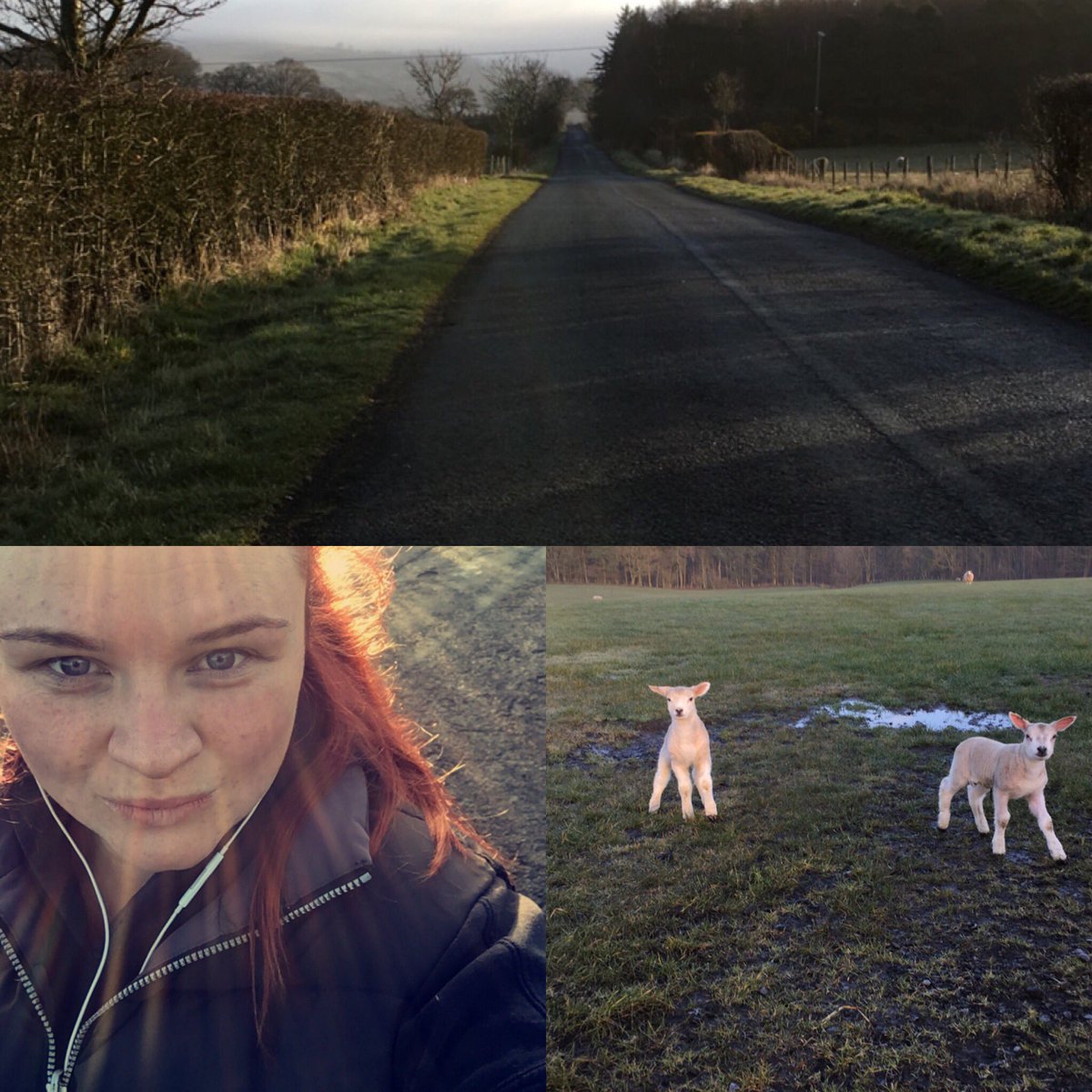 cherylshorses's tweet photo. Early Morning walk out #LakeDistrict #workingass https://t.co/trQnk6mg4W