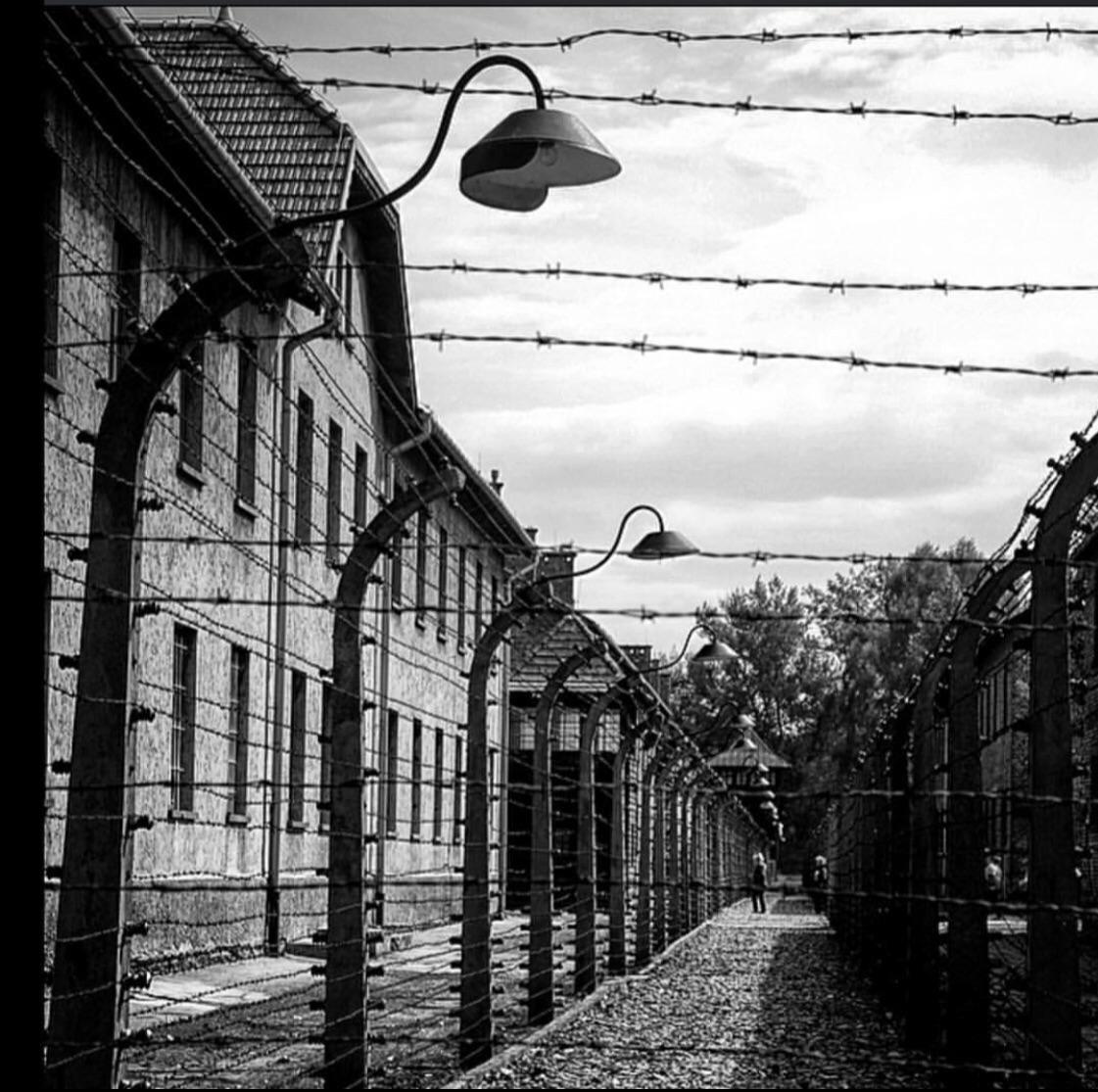 Teatre Cirvianum (@teatrecirvianum) on Twitter photo 9/4 21h EL VIOLÍ D'AUSCHWITZ creació de <a href="/xarxatorello/">La Xarxa Torelló</a>. Dansa i teatre en una història commovedora #torelló #osona 9/4 21h EL VIOLÍ D'AUSCHWITZ creació de <a href="/xarxatorello/">La Xarxa Torelló</a>. Dansa i teatre en una història commovedora #torelló #osona