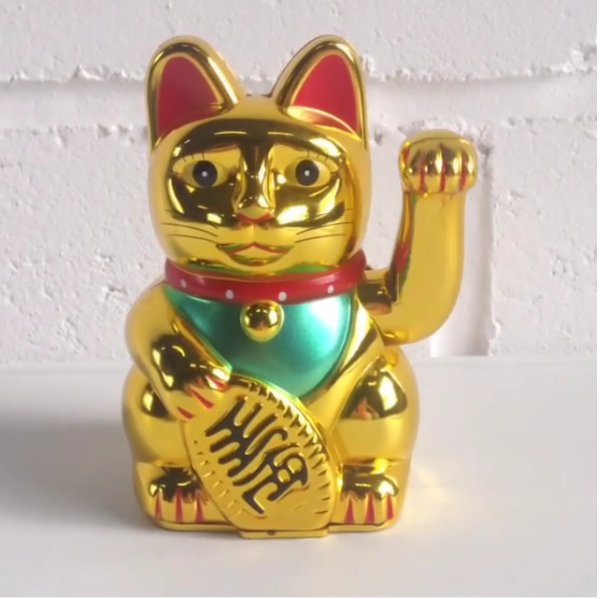 blcreative's tweet photo. HELLO.
You're looking gorgeous today! #goldencat #qotd #monday #compliment https://t.co/t27f20hDGZ https://t.co/jDfYLl7D2a