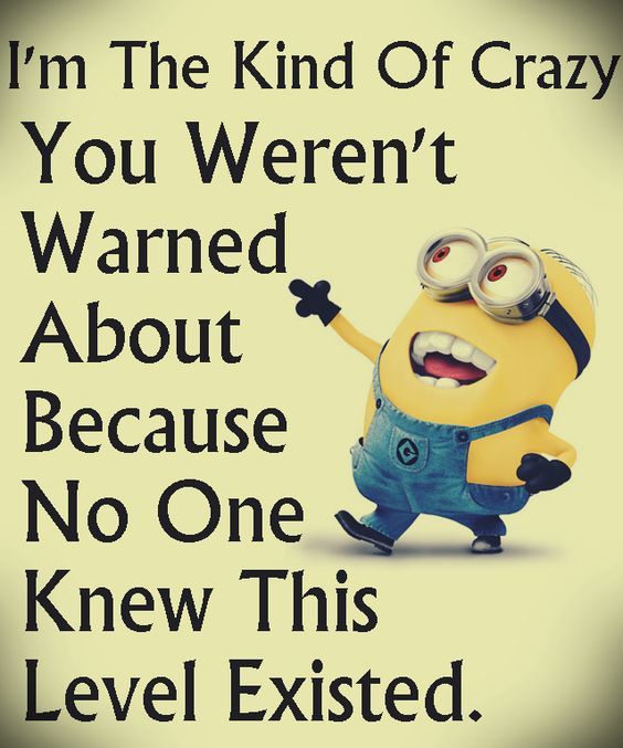 Cctyping Gmail Com I M The Kind Of Crazy You Weren T Warned About Because No One Knew This Level Existed Lol Minions T Co 9roy93am4p Twitter