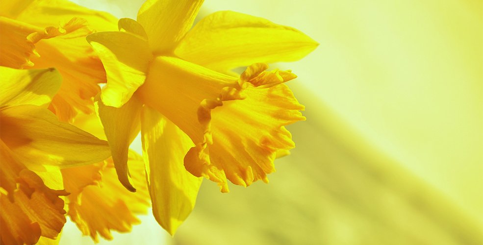 Valley_Buzz's tweet photo. From #Chilliwack, #Abbotsford, #Langley, #MissionBC &amp; #Surrey. Here are your #April events: https://t.co/kS7qOrHmm0 https://t.co/gL1PEGLpVh