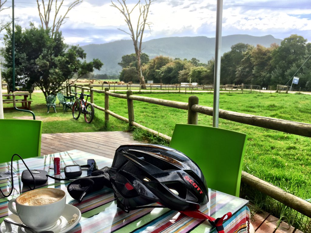 Jeans2409's tweet photo. I'm in heaven ���� #36OneChallenge #Race2Rhodes #mtb #scott2luvit https://t.co/Ac1fS9srfn