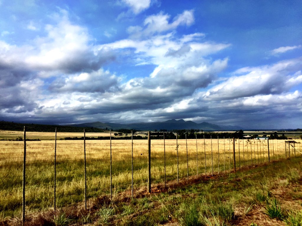 Jeans2409's tweet photo. I'm in heaven ���� #36OneChallenge #Race2Rhodes #mtb #scott2luvit https://t.co/Ac1fS9srfn