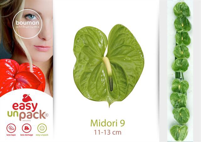 JensJenskool's tweet image. @FloraMondo #EASYunPACK® is nu ook verkrijgbaar op rijnsburg via #klokvoorverkoop