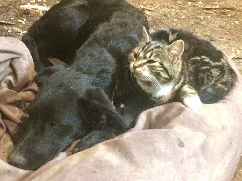 Nyman Farms tweet media