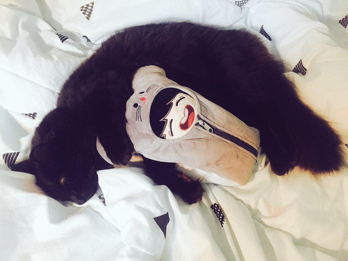 x940218x's tweet photo. 덕심 자극짤? 호냥이 기다려 주셔서 너무 감사드려요! 얼른 포장해서 빠른 배송 하겠습니다!! 🐾🐾 #스마일호냥 https://t.co/kNR6t9kVSC