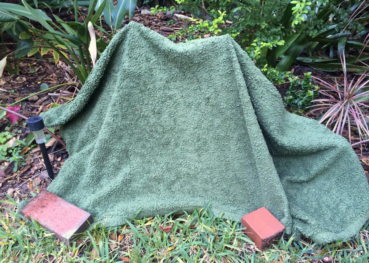 Be sure to cover your plants before dusk on sub-freezing nights, and remove the cover in the morning after the thaw