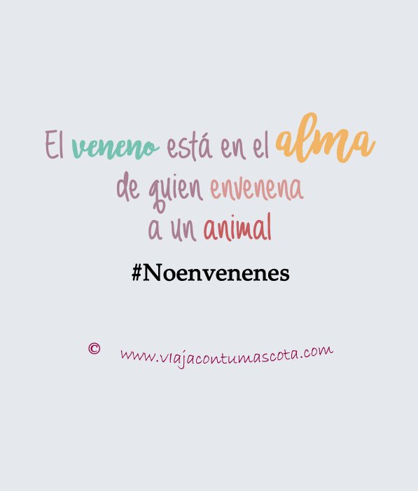 ViajaconMascota's tweet image. ¡ALERTA!
De diferentes localidades nos llegan noticias del envenenamiento de perros en la vía pública. 😡 ¡CUIDADO!