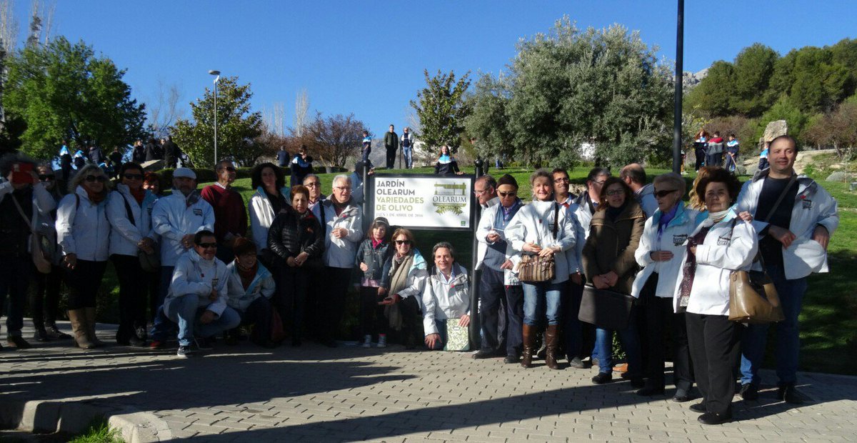 AlorenaDeMalaga's tweet photo. Nuestra @AlorenaDeMalaga estuvo en el VI #Congreso de #Olearum con plantación de olivo!! @pacoolearum @SaboraMalaga https://t.co/TglAatDiIh