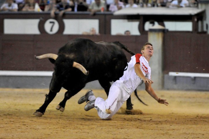clubfansconraor's tweet photo. Sin palabras ....simplemente espectacular #fotosconhistoria @ortizconra #lasventas #campeonatodeEspaña @toropasion https://t.co/1LlU8GFaKz