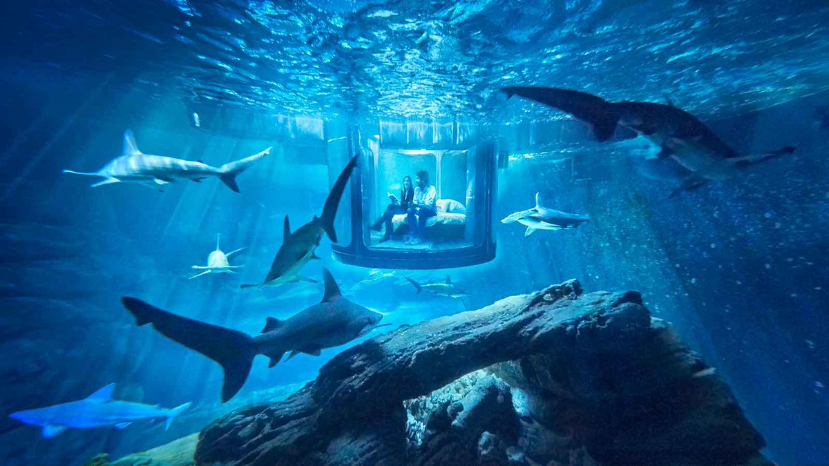 boatint's tweet photo. Sleeping with the fishes: 5 of the best underwater hotels https://t.co/agMYeNld6k https://t.co/KhHWAq5T0Q