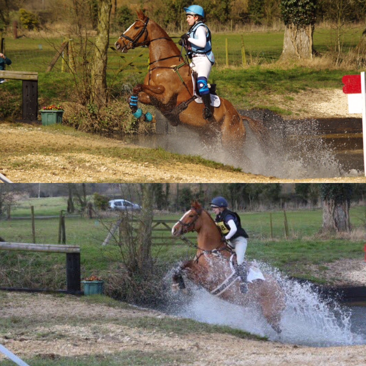 clairedreybb's tweet image. Spot the difference! #teamginge #teamequusphoto @EquusPhotoUK @sashh123