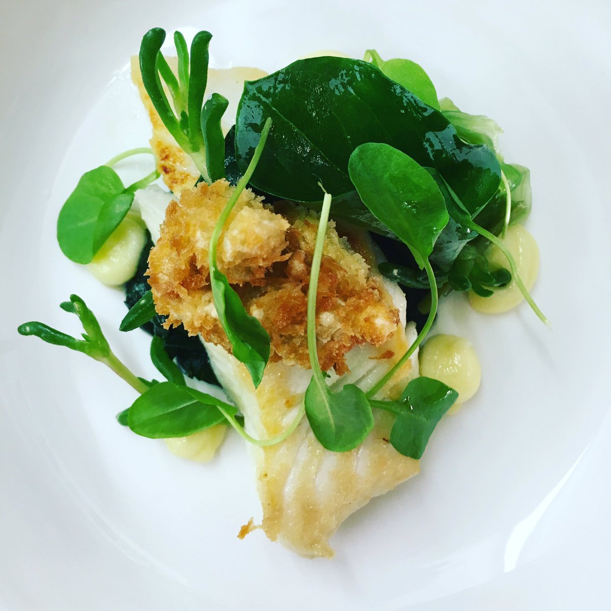chefashb3's tweet photo. Halibut, oyster, sea vegetables @MiddlethorpeHal https://t.co/Y7zWoUtJ2O