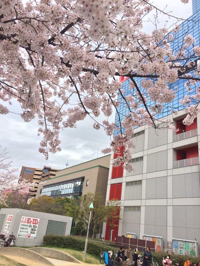 snoer_kai's tweet photo. 【イベント後記その①】
4月3日、大阪扇町公園にてお花見をしてきました。
ゲイの人がいました。
鳥かごでかわちゃんをいじめました笑
二次会はカラオケにいきました。
三次会は居酒屋にいきました。
暗黒の会になりました笑 https://t.co/ptAUMF167p