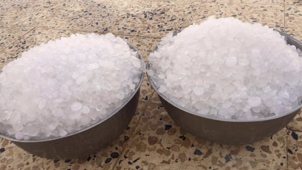 برديه العويله غرب رنيه من العضو فايز المشعبي