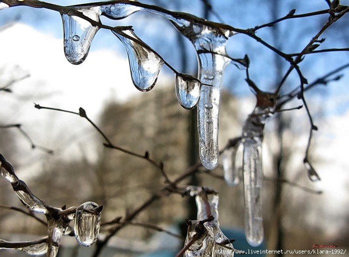 ru_Parallels's tweet image. Скидка на Parallels Desktop @Allsoft продолжает таять: сегодня 27%, дальше - меньше allsoft.ru/offers/tayushc… Налетай!