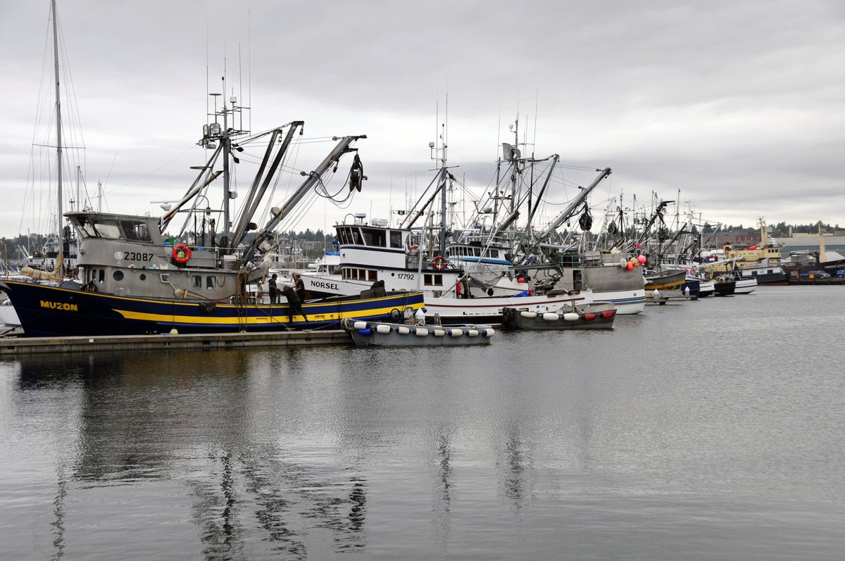 NOAAFisheries's tweet photo. #MSA40 (31) US fisheries contributed nearly $200 billion, supported 1.7 million jobs in 2014 https://t.co/FChQEp47St https://t.co/CfbePycowQ