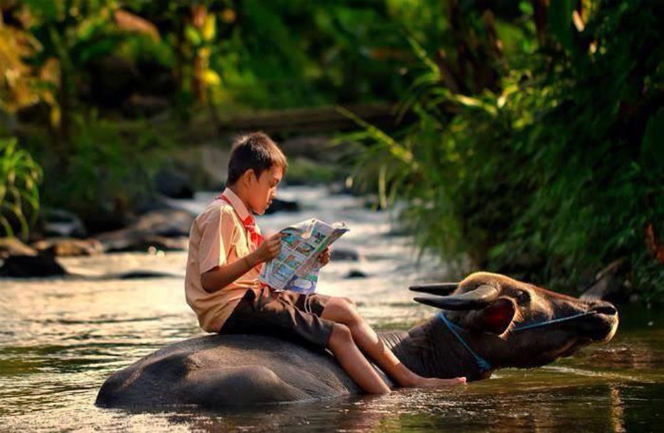 SgkPlanet's tweet photo. #Leer todos los días
“No tengo donde leer” Después de ver esto ya no hay excusa
#Libros #Novelas #Lecturas #Boocks https://t.co/uJFv092Op1