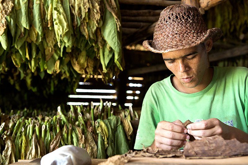 Michael Y. Park (@michaelypark) on Twitter photo 