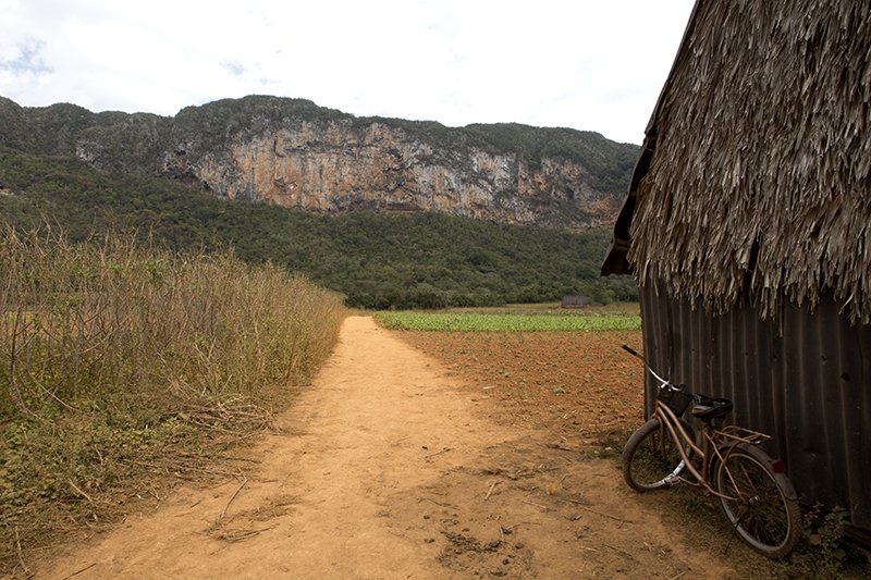 Michael Y. Park (@michaelypark) on Twitter photo 