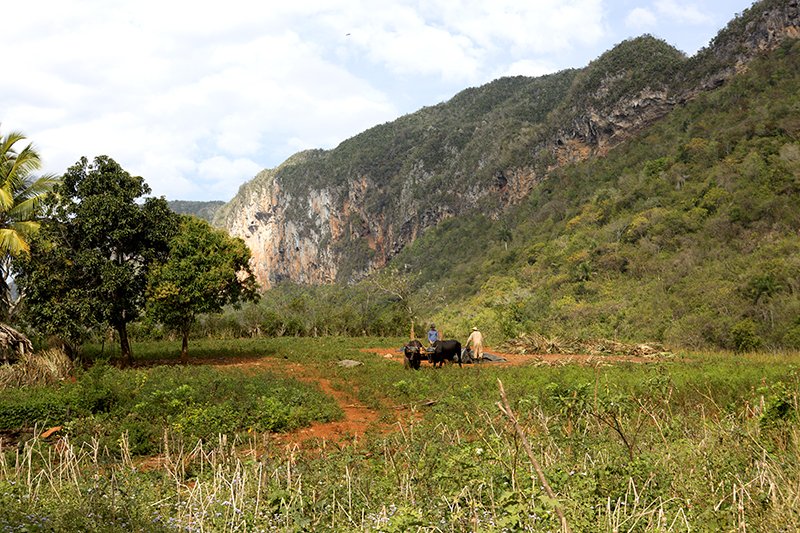 Michael Y. Park (@michaelypark) on Twitter photo 