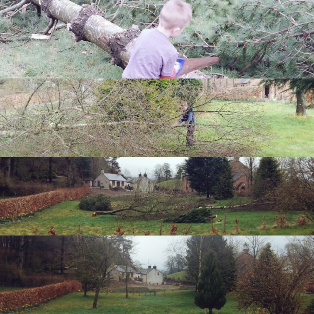 sarahkeeble4's tweet photo. Made some progress clearing the plot #selfbuild #selfbuilding #houseplot #scotland #timber https://t.co/8UwIYEcwiG