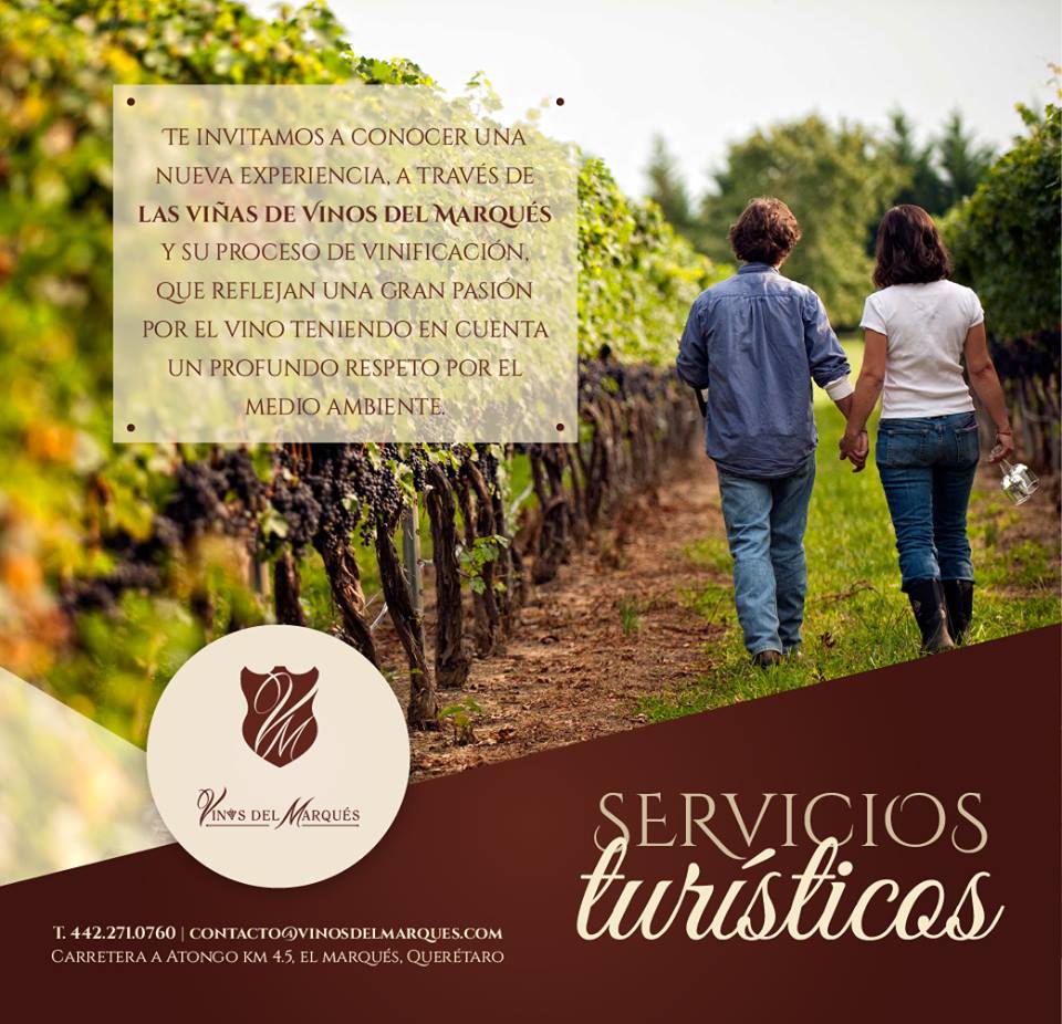 Reserva tu recottido
contacto@vinosdelmarques.com
Tel. 4424021448
Cel. 4422710760