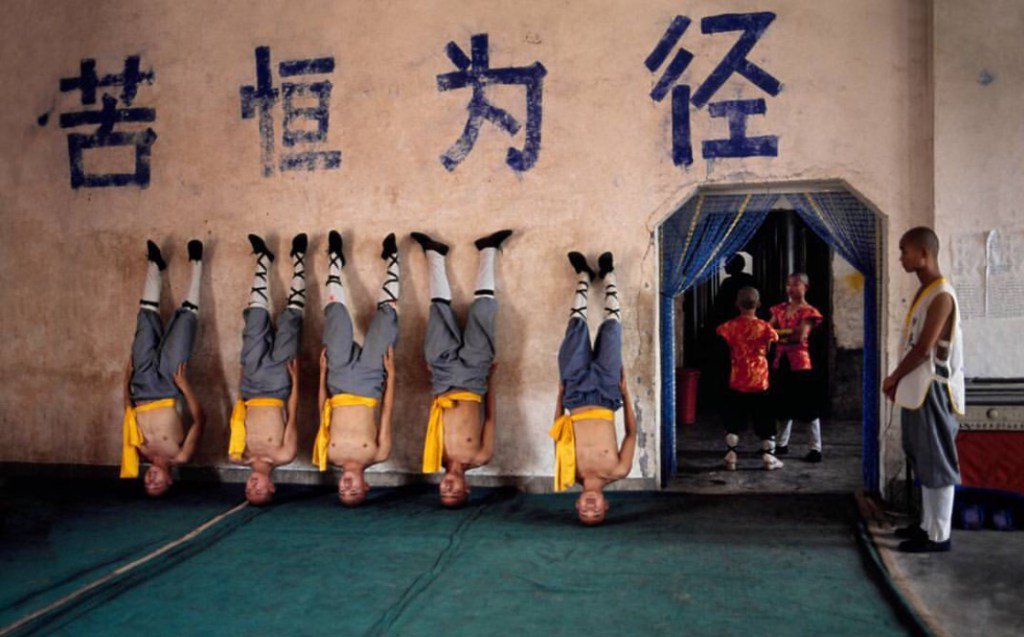 ZUltimateFallbr's tweet image. senseipaulcalabro.wordpress.com/2016/04/04/465