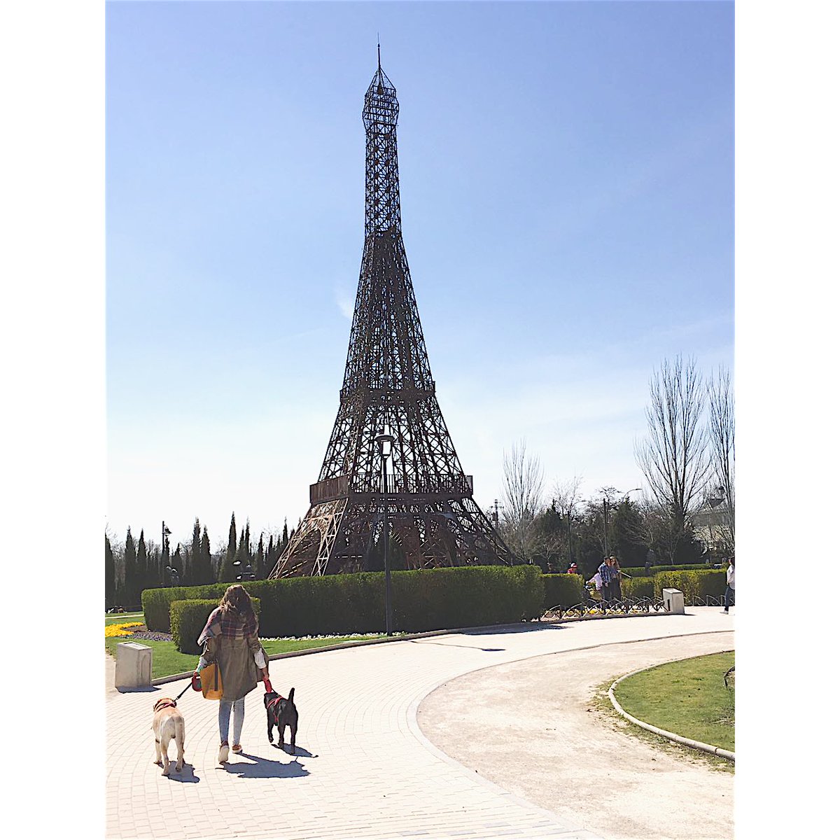 👣🐾👣🐾 #Neko&amp;Simba #ParqueEuropa #TorreEiffel #Sharpei #Labrador #Dogs #Love