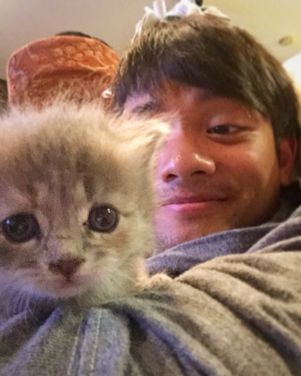 OsricChau's tweet photo. Lemme show you a picture of kitten!
It's gonna be kitten spam for awhile I'm afraid. https://t.co/lGhBUk8H3P