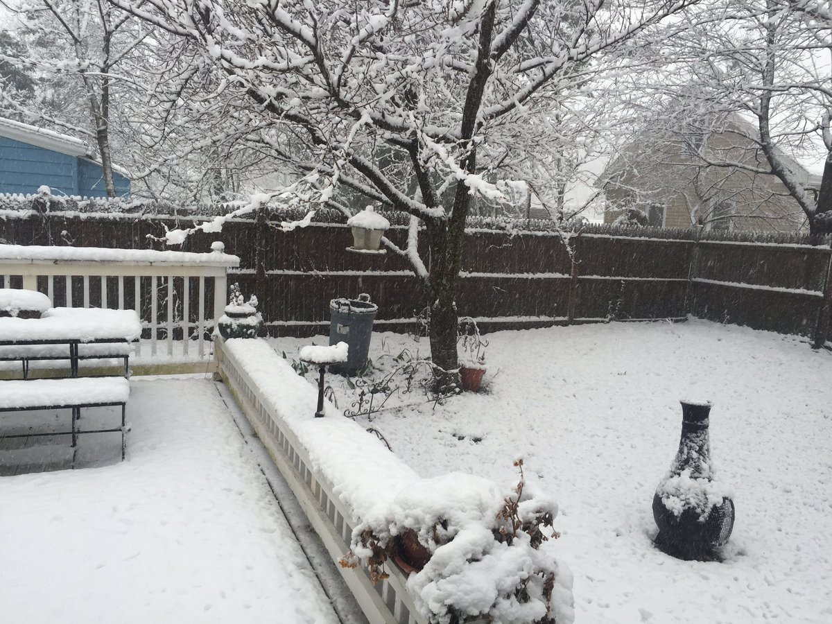 ChappyBeachGirl's tweet photo. Sunday in the snow #springfail #aprilsnow https://t.co/JOdIvR3s8U